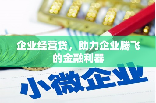 广河企业经营贷，助力企业腾飞的金融利器