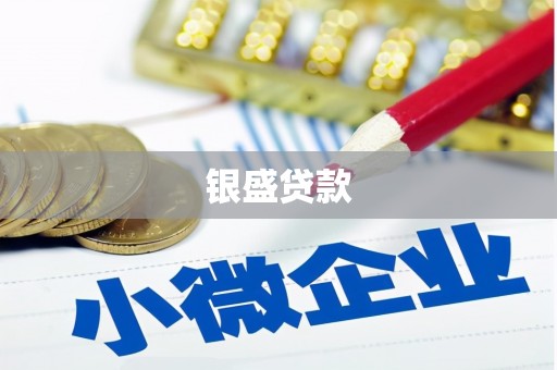广河银盛贷款