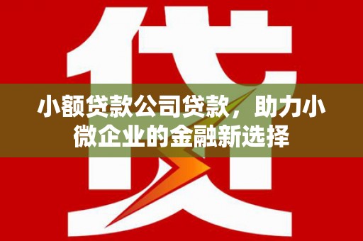 广河小额贷款公司贷款，助力小微企业的金融新选择