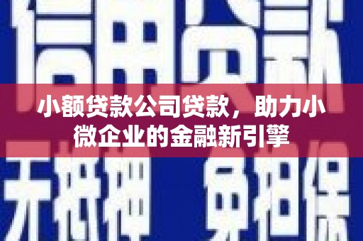 广河小额贷款公司贷款，助力小微企业的金融新引擎