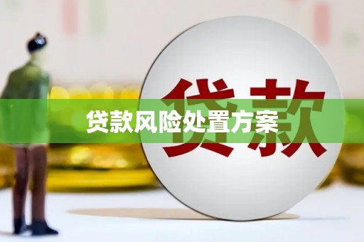 广河贷款风险处置方案