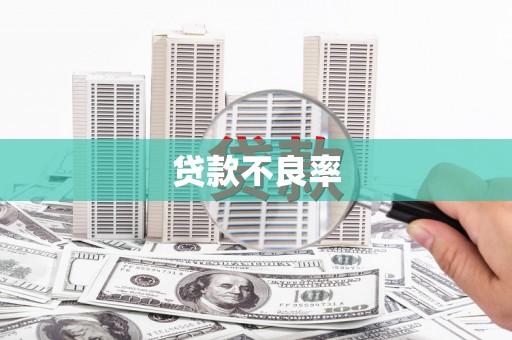广河贷款不良率