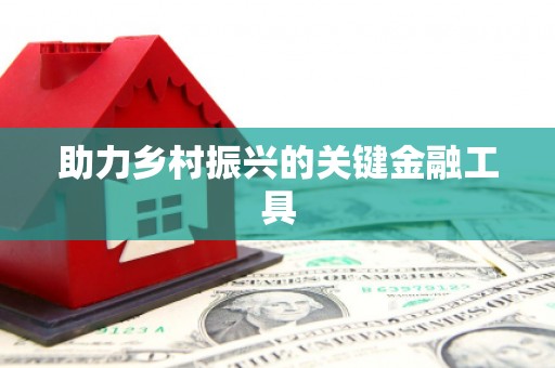 广河助力乡村振兴的关键金融工具