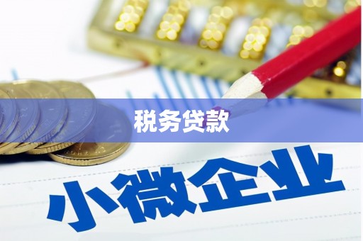 广河税务贷款