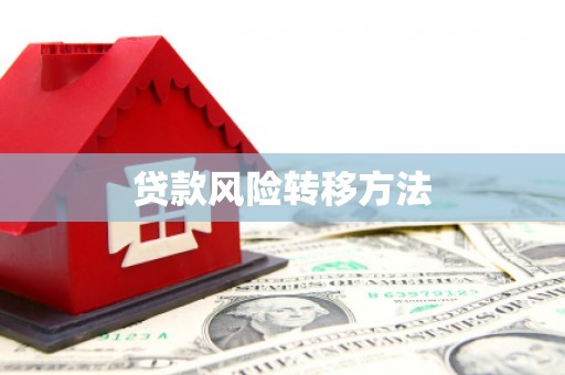 广河贷款风险转移方法