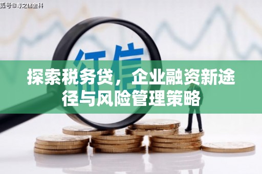 广河探索税务贷，企业融资新途径与风险管理策略