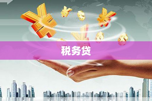 广河税务贷