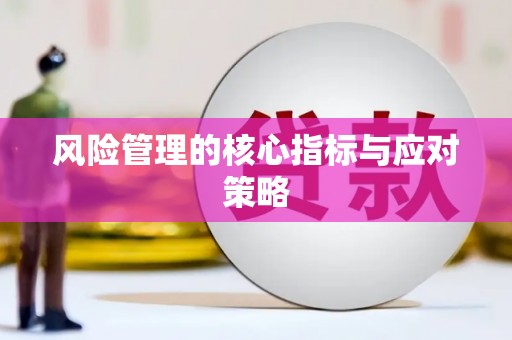 广河风险管理的核心指标与应对策略