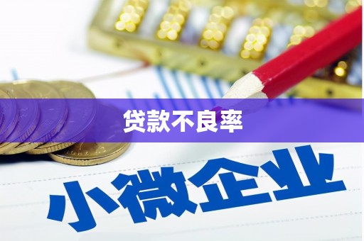 广河贷款不良率