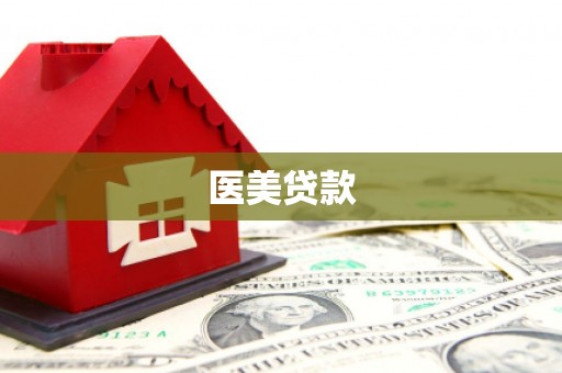 广河医美贷款