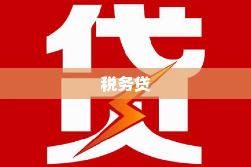 广河税务贷