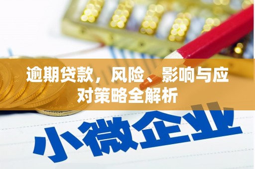广河逾期贷款，风险、影响与应对策略全解析