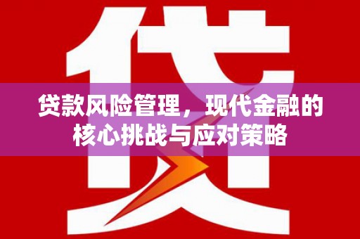 广河贷款风险管理，现代金融的核心挑战与应对策略