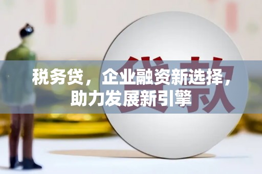 广河税务贷，企业融资新选择，助力发展新引擎
