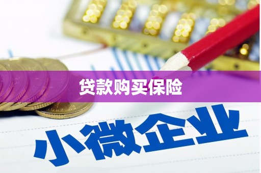 广河贷款购买保险