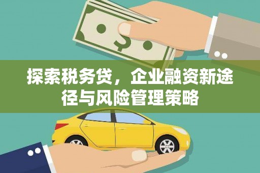 广河探索税务贷，企业融资新途径与风险管理策略