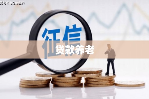 广河贷款养老