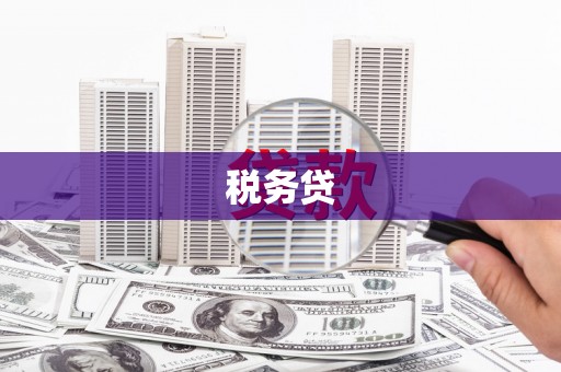 广河税务贷