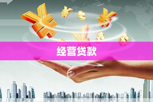 广河经营贷款