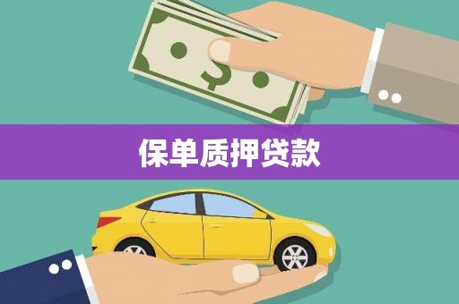 广河保单质押贷款