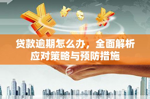 广河贷款逾期怎么办，全面解析应对策略与预防措施