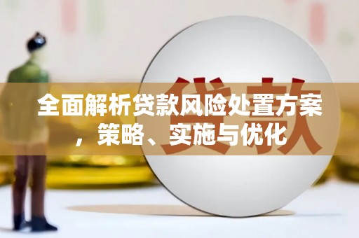 广河全面解析贷款风险处置方案，策略、实施与优化