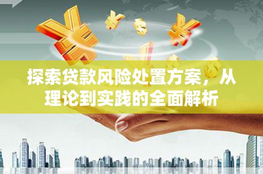 广河探索贷款风险处置方案，从理论到实践的全面解析