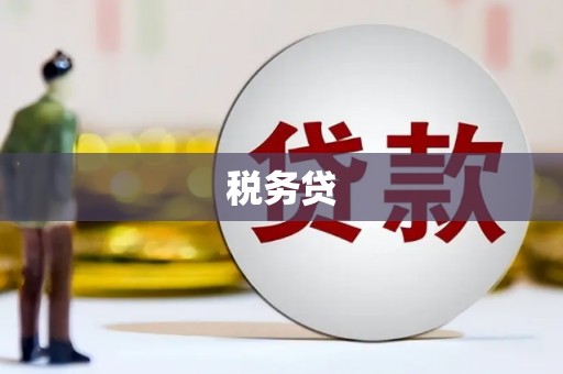 广河税务贷