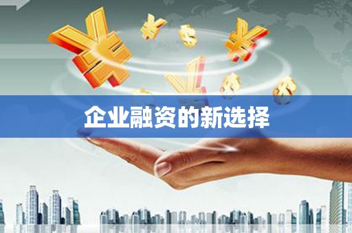 广河企业融资的新选择