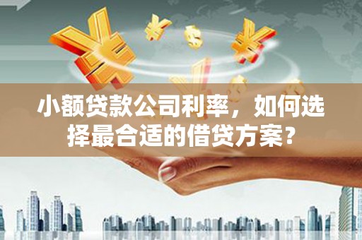 广河小额贷款公司利率，如何选择最合适的借贷方案？