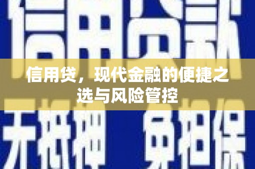 广河信用贷，现代金融的便捷之选与风险管控