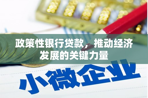 广河政策性银行贷款，推动经济发展的关键力量
