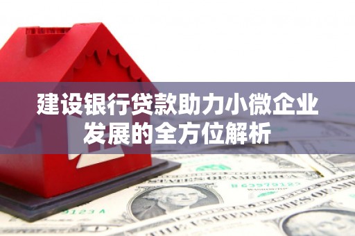 广河建设银行贷款助力小微企业发展的全方位解析