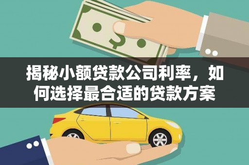 广河揭秘小额贷款公司利率，如何选择最合适的贷款方案