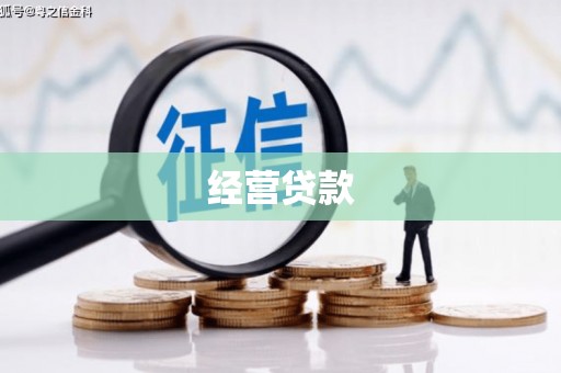 广河经营贷款