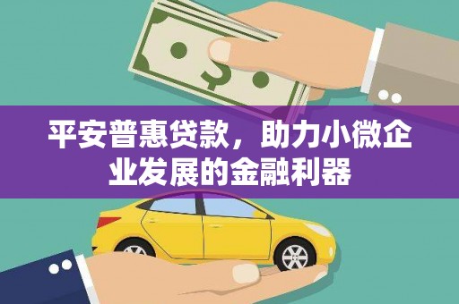 广河平安普惠贷款，助力小微企业发展的金融利器
