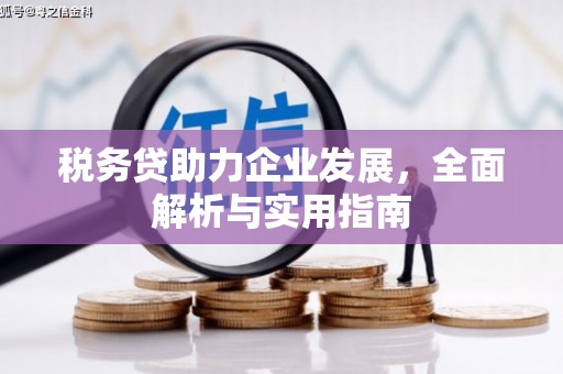 广河税务贷助力企业发展，全面解析与实用指南