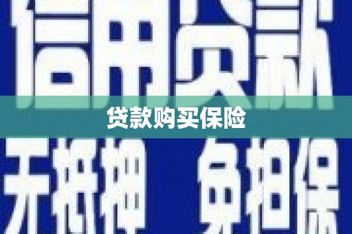 广河贷款购买保险