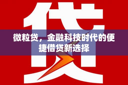 广河微粒贷，金融科技时代的便捷借贷新选择