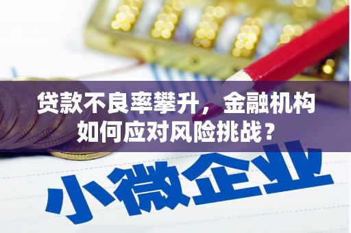 广河贷款不良率攀升，金融机构如何应对风险挑战？