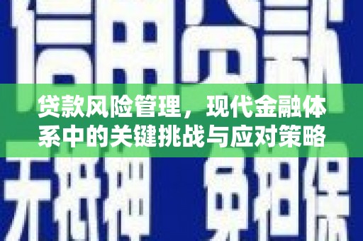 广河贷款风险管理，现代金融体系中的关键挑战与应对策略