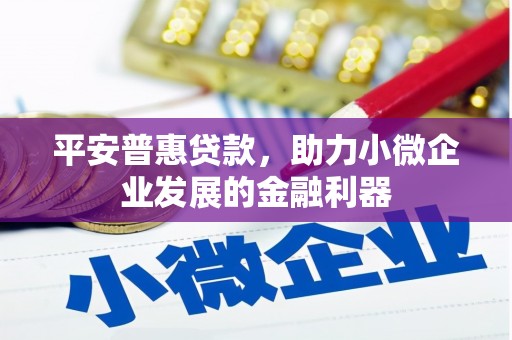 广河平安普惠贷款，助力小微企业发展的金融利器