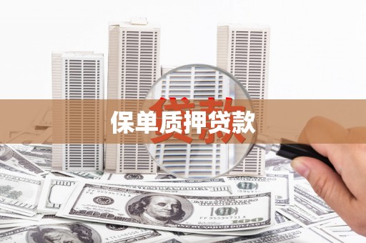 广河保单质押贷款