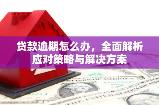 广河贷款逾期怎么办，全面解析应对策略与解决方案