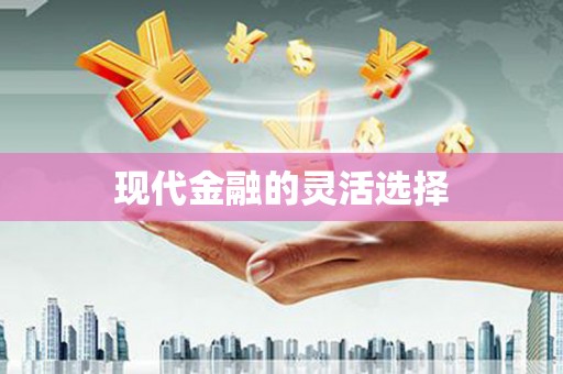 广河现代金融的灵活选择