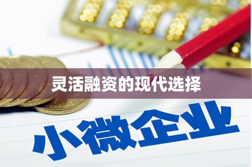 广河灵活融资的现代选择