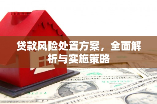 广河贷款风险处置方案，全面解析与实施策略