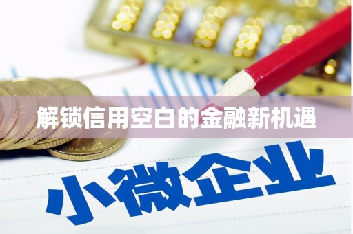 广河解锁信用空白的金融新机遇