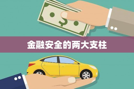 广河金融安全的两大支柱
