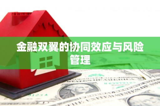 广河金融双翼的协同效应与风险管理